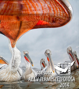 GDF SUEZ - Az Év Természetfotósa pályázat 