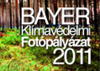 ?Élet az erdőben?